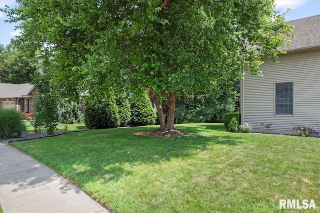 33 Woodland Trl, Rochester, IL 62563 - photo 61