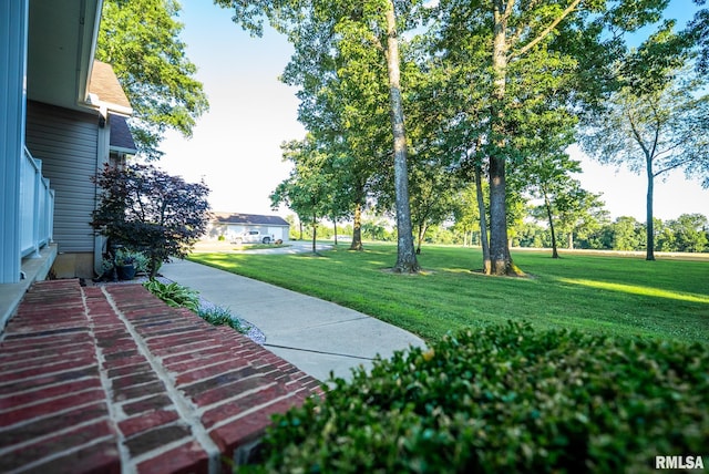623 Jasper Rd, Centralia, IL 62801 - view of community with a lawn