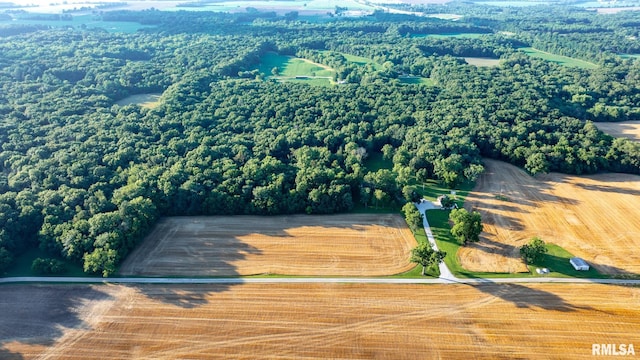 623 Jasper Rd, Centralia, IL 62801 - aerial view of property's location featuring a forest