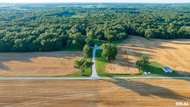 623 Jasper Rd, Centralia, IL 62801 - drone / aerial view of a forest