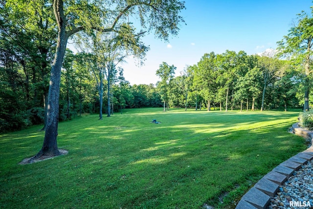 623 Jasper Rd, Centralia, IL 62801 - view of community with a yard
