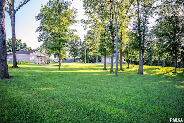 623 Jasper Rd, Centralia, IL 62801 - view of green lawn