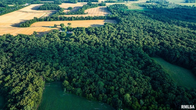623 Jasper Rd, Centralia, IL 62801 - aerial view of sparsely populated area with a heavily wooded area