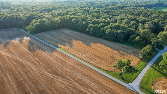 623 Jasper Rd, Centralia, IL 62801 - drone / aerial view of a forest