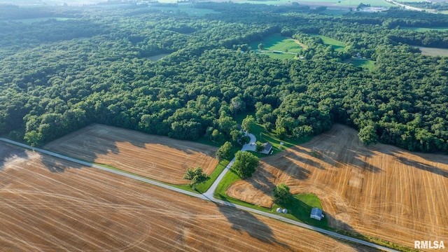 623 Jasper Rd, Centralia, IL 62801 - aerial view of a forest
