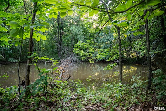 623 Jasper Rd, Centralia, IL 62801 - view of woods