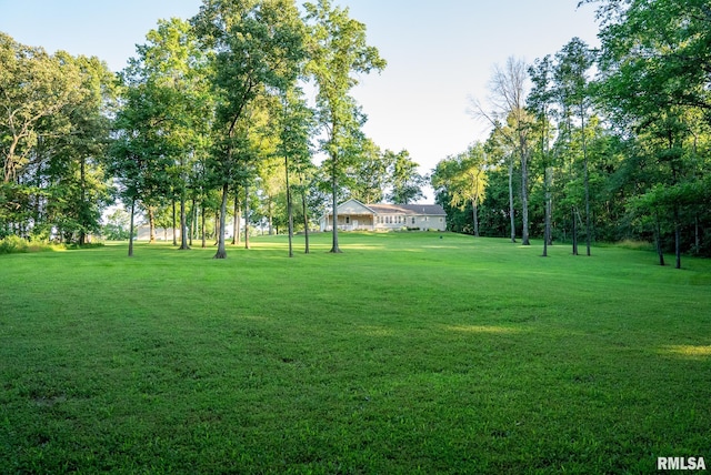 623 Jasper Rd, Centralia, IL 62801 - view of grassy yard