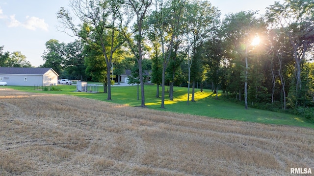 623 Jasper Rd, Centralia, IL 62801 - view of grassy yard