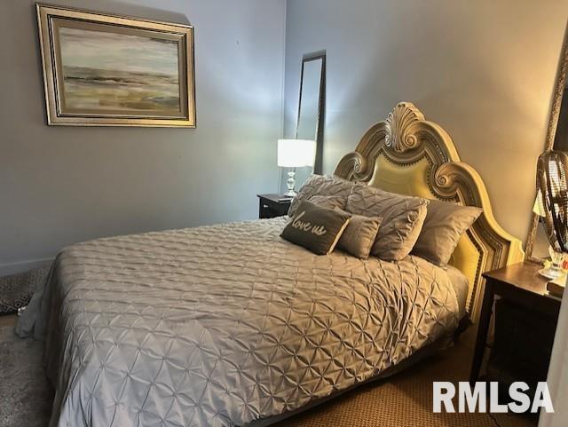 202 N Prairie St, Jacksonville, IL 62650 - photo 26