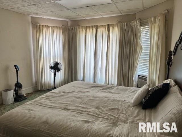 202 N Prairie St, Jacksonville, IL 62650 - photo 32