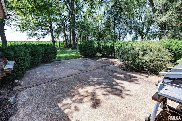 107 E Harrison St, Edinburg, IL 62531 - view of patio