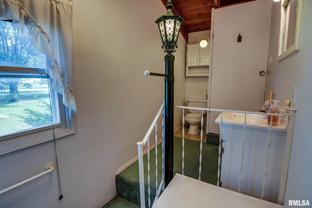 107 E Harrison St, Edinburg, IL 62531 - bathroom with vanity, wood ceiling, and vaulted ceiling