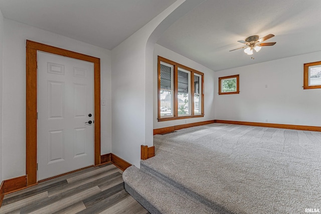 914 Pekin St, Lincoln, IL 62656 - carpeted entryway featuring arched walkways, plenty of natural light, ceiling fan, and wood finished floors