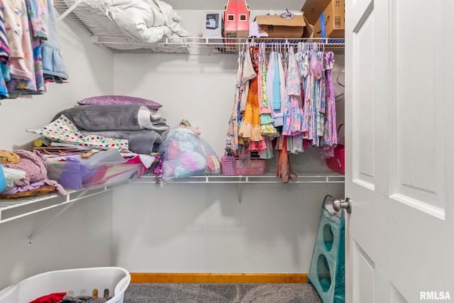 504 Windamere Dr, Sherman, IL 62684 - view of walk in closet