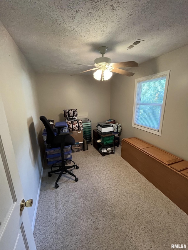 28 Albion St, Lynnville, IL 62650 - office with carpet floors, ceiling fan, and a textured ceiling