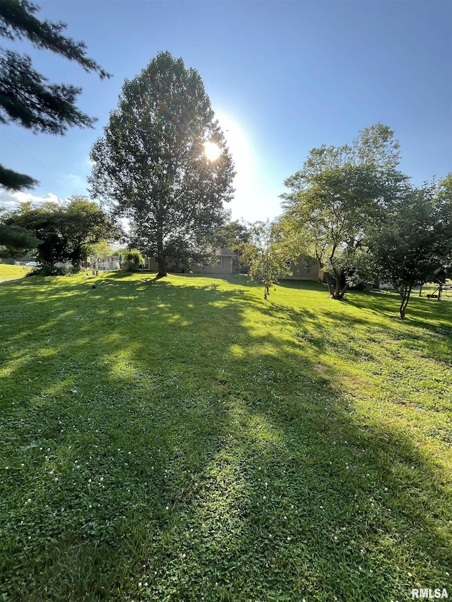 28 Albion St, Lynnville, IL 62650 - view of grassy yard