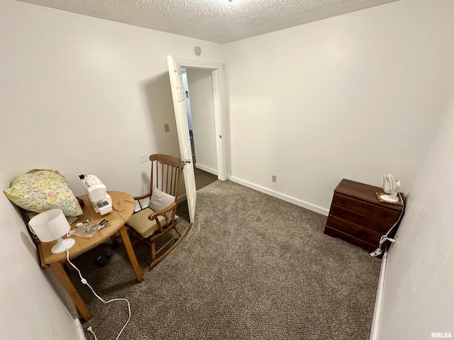 311 Main St, Meredosia, IL 62665 - living area featuring carpet floors and a textured ceiling