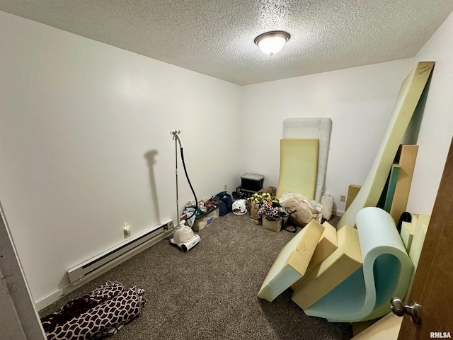 311 Main St, Meredosia, IL 62665 - miscellaneous room featuring a baseboard heating unit, carpet, and a textured ceiling