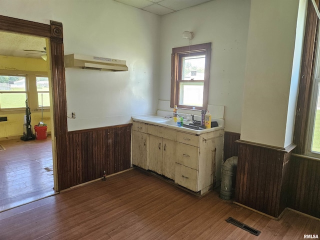 75 N County Road 830 N, Mendon, IL 62351 - kitchen with wainscoting, wood finished floors, plenty of natural light, wooden walls, and ceiling fan