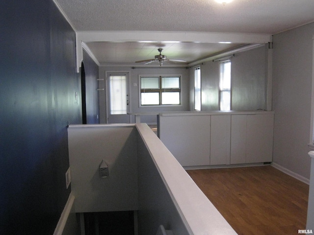 1346 Chestnut St, Quincy, IL 62301 - stairway with a ceiling fan, wood finished floors, a textured ceiling, and ornamental molding
