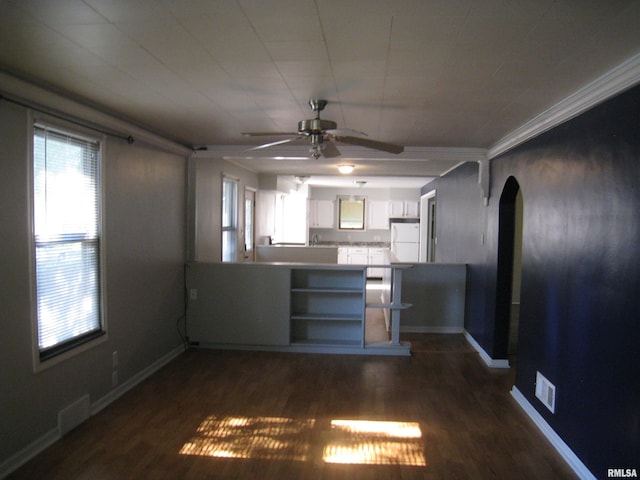 1346 Chestnut St, Quincy, IL 62301 - kitchen featuring arched walkways, plenty of natural light, ceiling fan, dark wood-type flooring, and ornamental molding