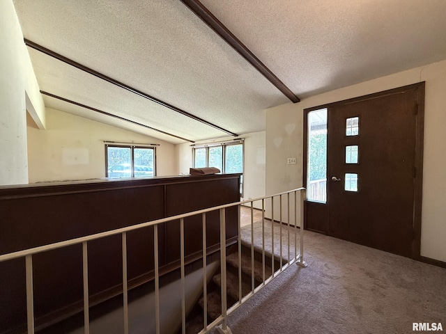 573 Matthews Ct, Oneida, IL 61467 - foyer entrance featuring a textured ceiling, carpet, and vaulted ceiling