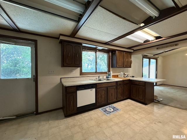573 Matthews Ct, Oneida, IL 61467 - kitchen featuring dishwasher, light flooring, dark brown cabinetry, light countertops, and a peninsula