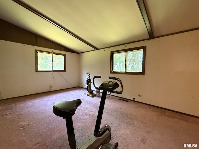 573 Matthews Ct, Oneida, IL 61467 - workout room with lofted ceiling and carpet flooring