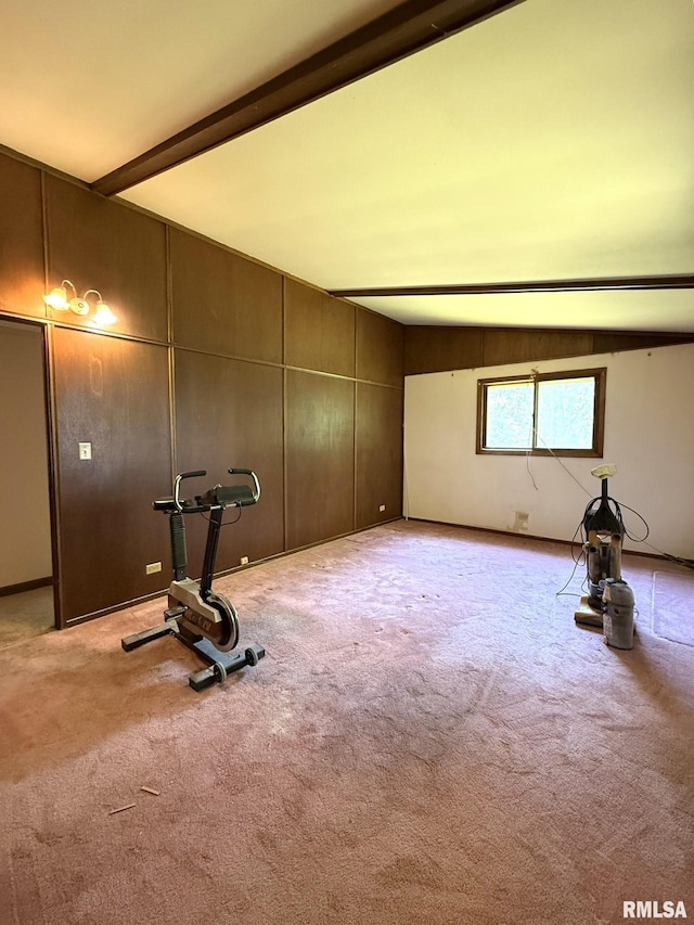 573 Matthews Ct, Oneida, IL 61467 - exercise area featuring light carpet