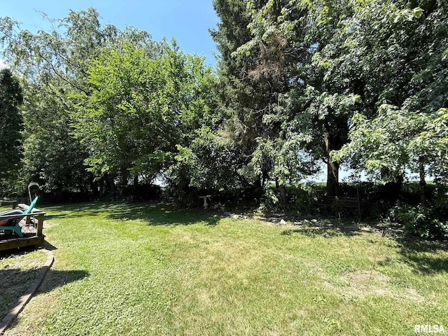 573 Matthews Ct, Oneida, IL 61467 - view of grassy yard