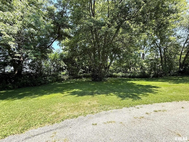 573 Matthews Ct, Oneida, IL 61467 - view of green lawn