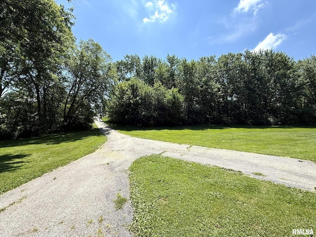 573 Matthews Ct, Oneida, IL 61467 - view of road