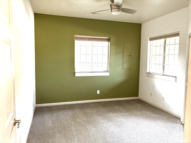 4317 Harvard Dr, Springfield, IL 62712 - carpeted spare room with ceiling fan, healthy amount of natural light, and electric panel
