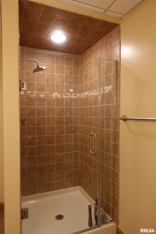 1156 Russell Ave, Galesburg, IL 61401 - bathroom with a stall shower and recessed lighting