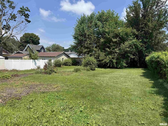 839 E Fremont St, Galesburg, IL 61401 - view of yard