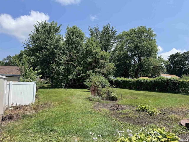 839 E Fremont St, Galesburg, IL 61401 - view of yard