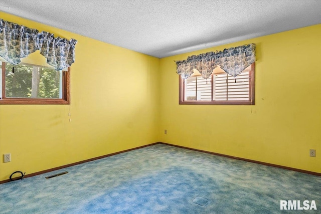 15858 Oak Ln, Girard, IL 62640 - spare room with carpet flooring and a textured ceiling