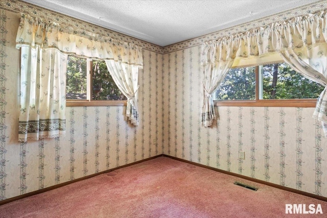 15858 Oak Ln, Girard, IL 62640 - spare room featuring a textured ceiling, healthy amount of natural light, and carpet