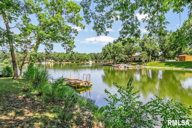 15858 Oak Ln, Girard, IL 62640 - water view with a dock