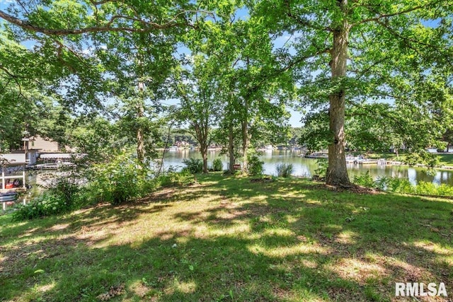 15858 Oak Ln, Girard, IL 62640 - view of grassy yard with a water view