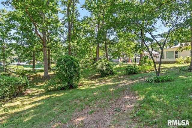 15858 Oak Ln, Girard, IL 62640 - view of grassy yard
