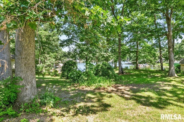 15858 Oak Ln, Girard, IL 62640 - view of grassy yard featuring a water view