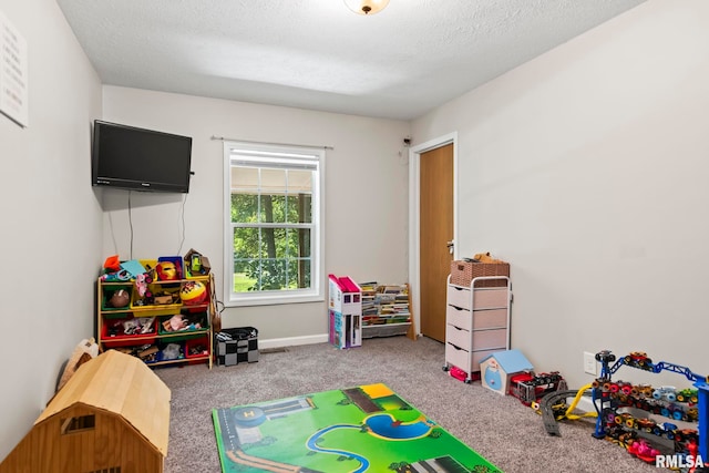 16540 Wernowsky St, Petersburg, IL 62675 - playroom with carpet floors and a textured ceiling