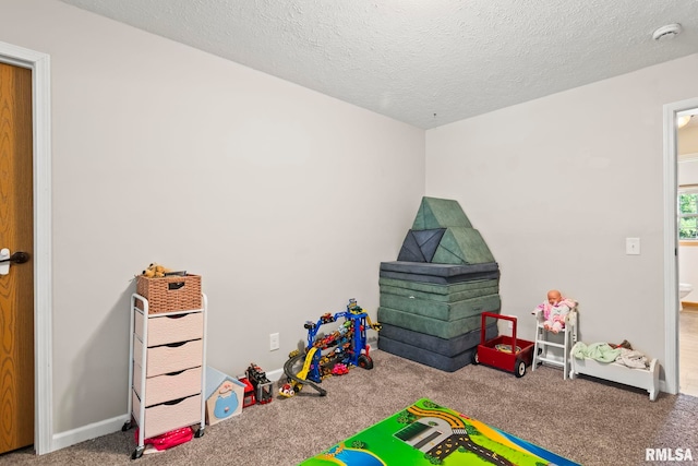 16540 Wernowsky St, Petersburg, IL 62675 - playroom with carpet flooring and a textured ceiling