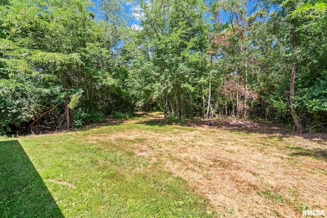 16540 Wernowsky St, Petersburg, IL 62675 - view of grassy yard