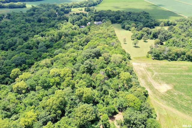 16540 Wernowsky St, Petersburg, IL 62675 - aerial view of sparsely populated area featuring a forest