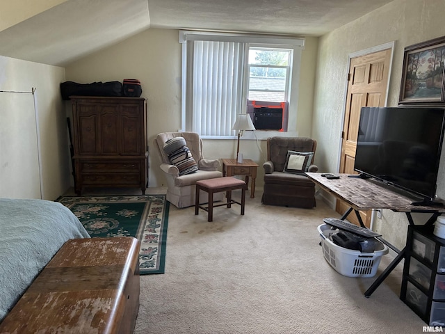 700 S 20th St, Quincy, IL 62301 - sitting room with carpet and vaulted ceiling