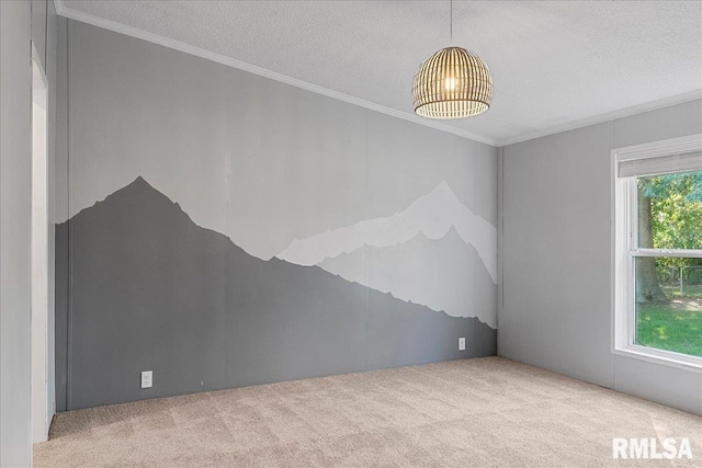 913 Springfield St, Kincaid, IL 62540 - carpeted empty room with crown molding and a textured ceiling