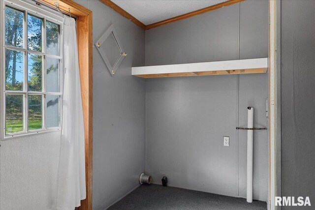 913 Springfield St, Kincaid, IL 62540 - laundry area featuring ornamental molding and carpet