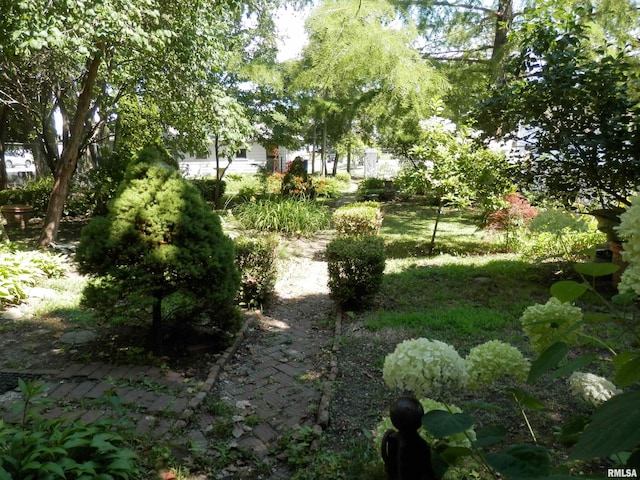 310 E Broadway St, Monmouth, IL 61462 - photo 12